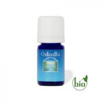 Ingwer bio - Oshadhi® Ätherisches Öl