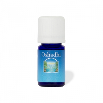 Konzentration - Oshadhi® Ätherische Ölmischung