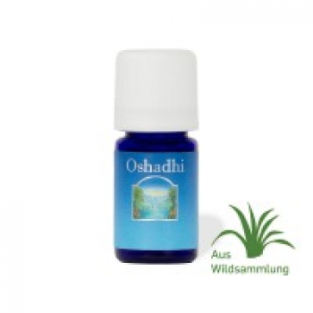 Copaiba Balsam - Oshadhi® Ätherisches Öl